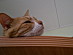 View full size picture