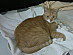 View full size picture