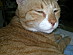 View full size picture