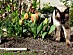 View full size picture