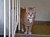 View full size picture
