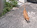 View full size picture