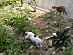 View full size picture