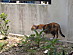 View full size picture