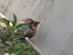 View full size picture
