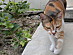 View full size picture