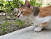 View full size picture