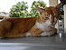 View full size picture