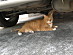 View full size picture