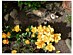 View full size picture