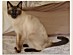 View full size picture