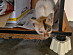 View full size picture