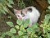 View full size picture