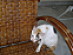 View full size picture