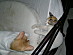 View full size picture