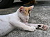 View full size picture