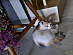 View full size picture