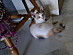 View full size picture