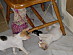 View full size picture