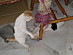 View full size picture