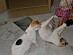 View full size picture