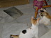 View full size picture