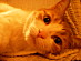 View full size picture
