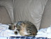 View full size picture