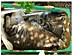 View full size picture