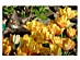 View full size picture