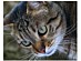 View full size picture