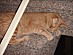 View full size picture