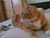 View full size picture