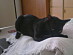 View full size picture