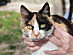 View full size picture