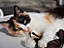 View full size picture
