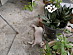 View full size picture