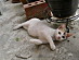 View full size picture