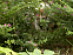 View full size picture