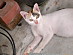 View full size picture