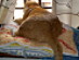 View full size picture