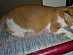 View full size picture