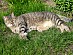 View full size picture