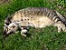 View full size picture