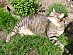 View full size picture