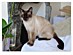 View full size picture