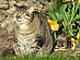 View full size picture