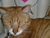 View full size picture