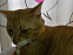 View full size picture