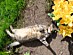 View full size picture